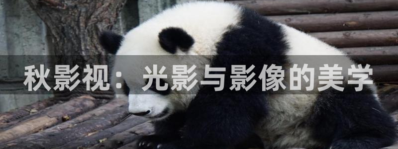 人人干在线超碰