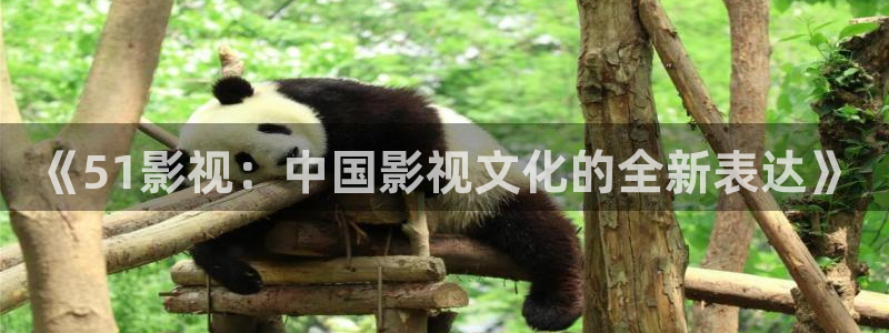 超碰在线视频免费观看