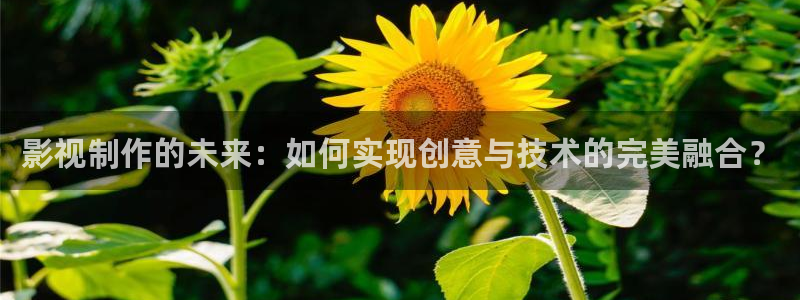97资源中文超碰