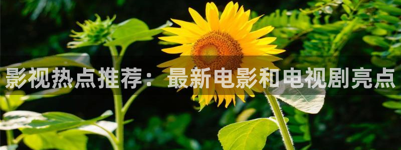 超碰总站