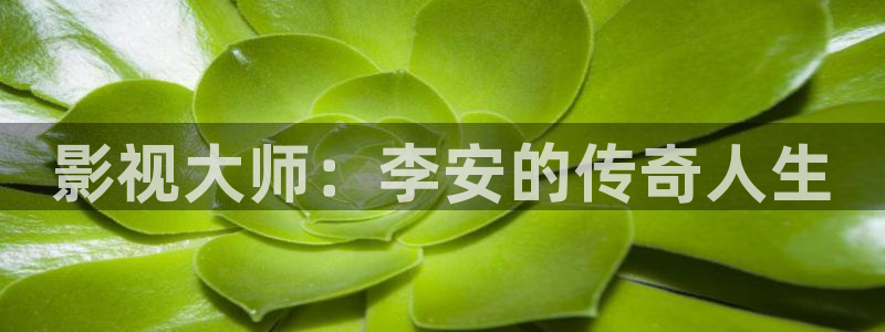 97超碰资源在线